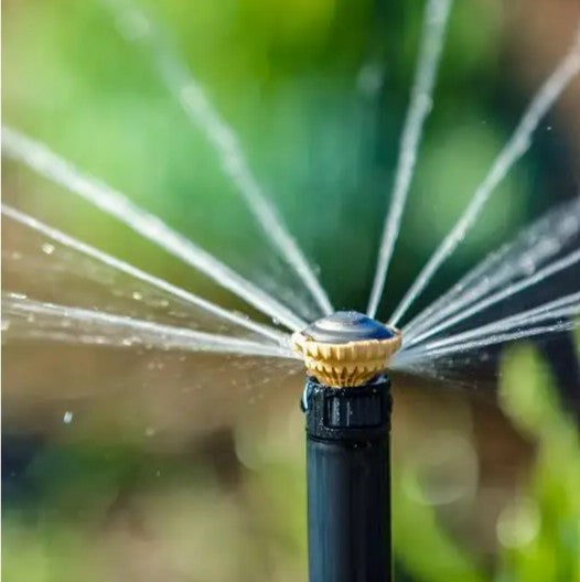Home Lawn Fertigation: Benefits, Costs & How It Works