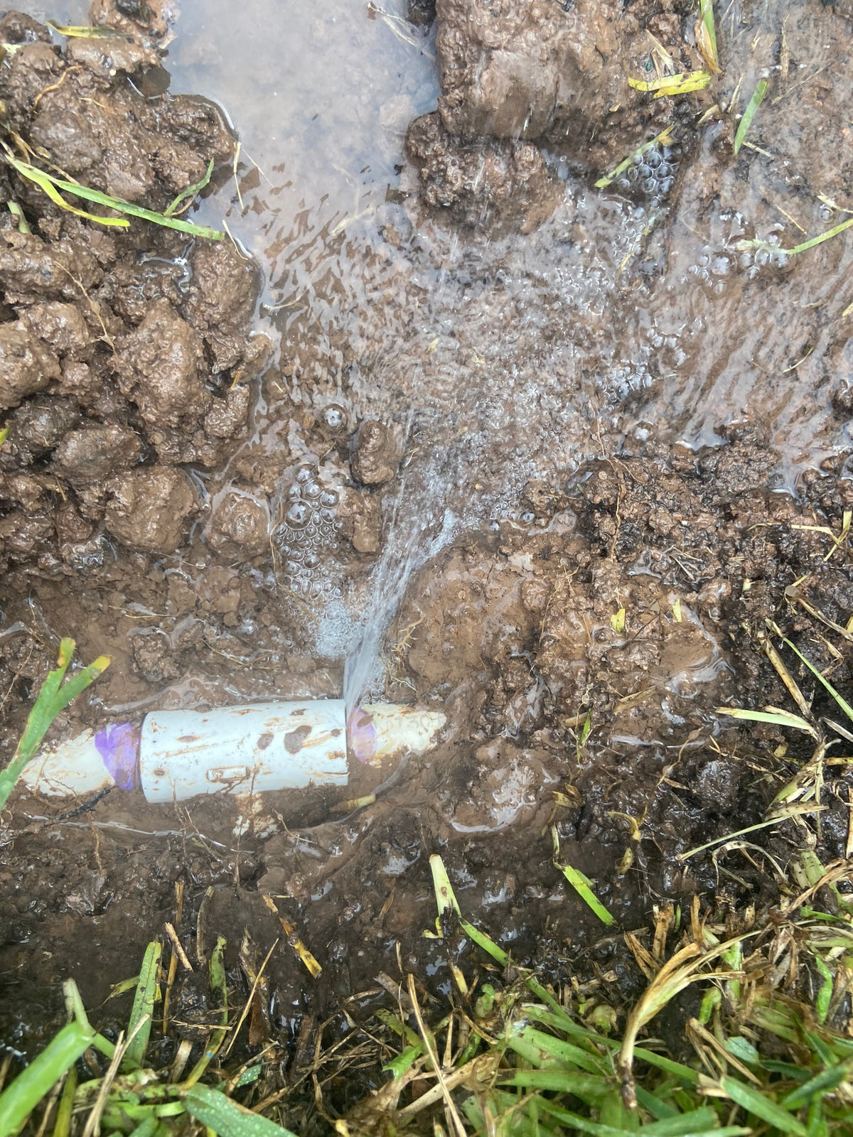 Irrigation Inspection