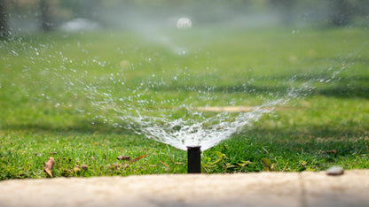 Irrigation Inspection